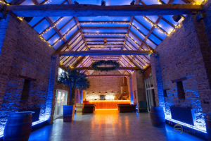 LED Venue Light Strips